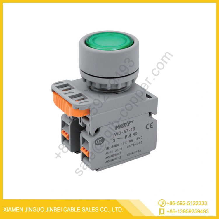 Ф22 Flat head button(Unilateral/Bilateral)(Self-resetting/Self-locking)